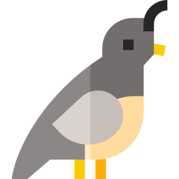 Quail icon