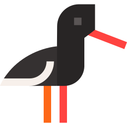 oystercatcher Ícone