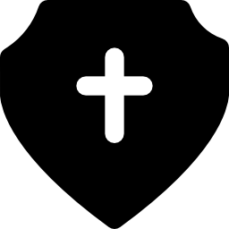 Shield icon