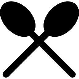 Spoon icon