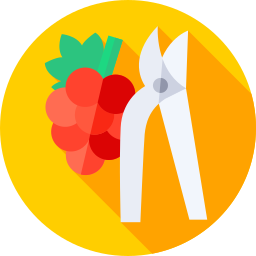 ernte icon