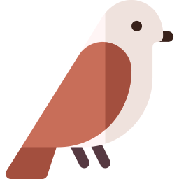 Sparrow icon