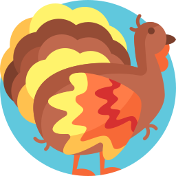 Turkey icon