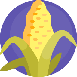 Corn icon