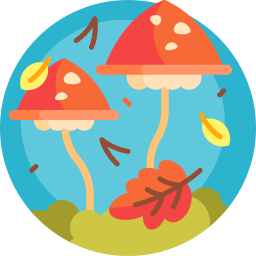 Mushrooms icon