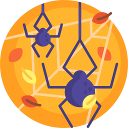 Spider icon