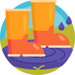 Boots icon