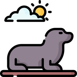 Seal icon