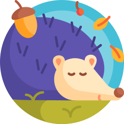 Hedgehog icon