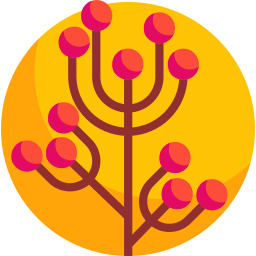 Berry icon