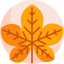 Leaf icon