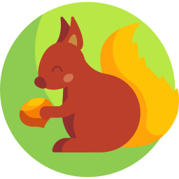 Squirrel icon