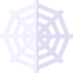 Spider web icon