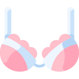 Bra icon