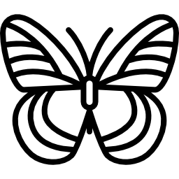 schmetterling icon