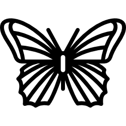 schmetterling icon