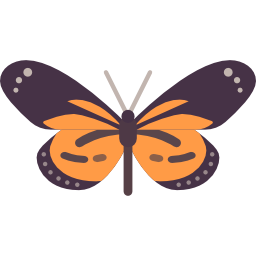 papillon Icône