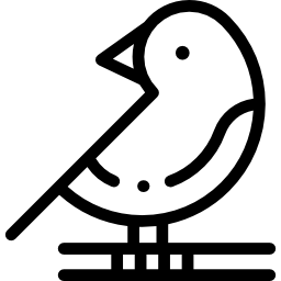 Bird icon