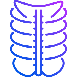 tórax Ícone