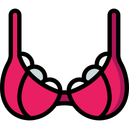 Bra icon