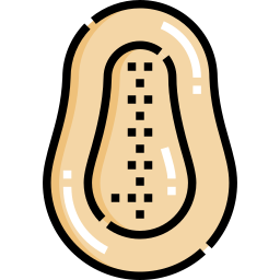 papaya icon