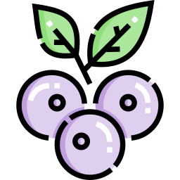 Blueberry icon