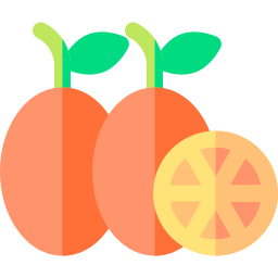 kumquat icon