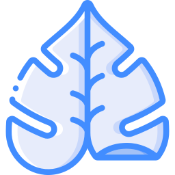 Leaf icon