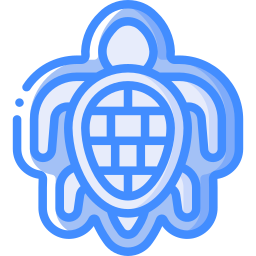 Turtle icon