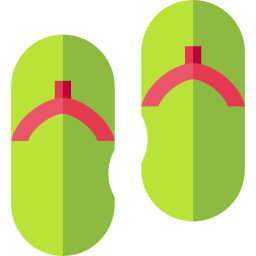 Flip flops icon