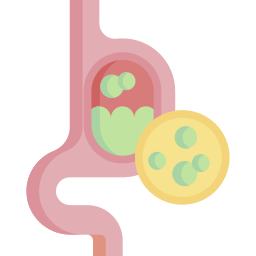 reflux gastrique Icône