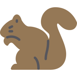 eichhörnchen icon