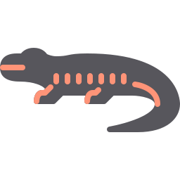 salamander icon