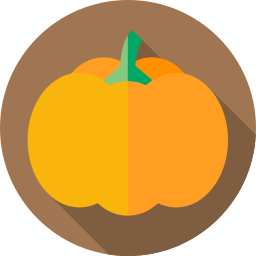 Pumpkin icon