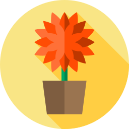 Flower icon