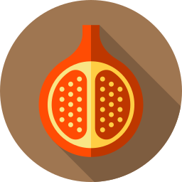 Pomegranate icon