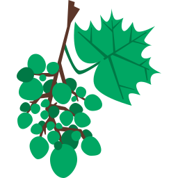 Grapes icon