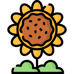 Sunflower icon