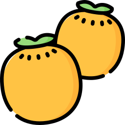 Persimmon icon