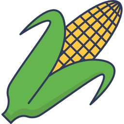 Corn icon