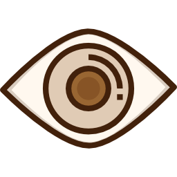 vision icon