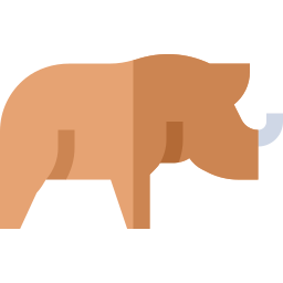 Rhino icon