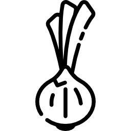 Onion icon