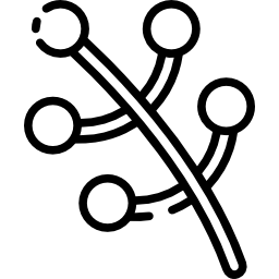 Branch icon