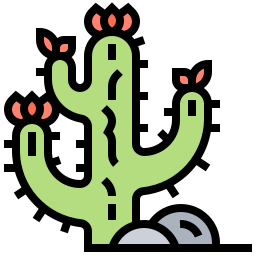 カクタス icon