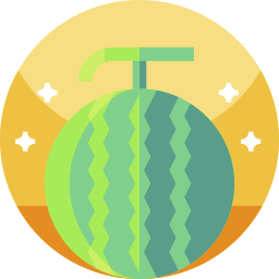 Watermelon icon