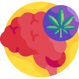 Brain icon