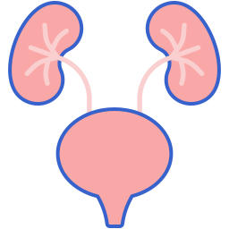 urologia icona