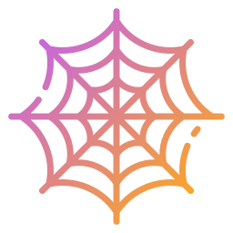 Spider web icon