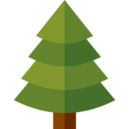 Pine icon